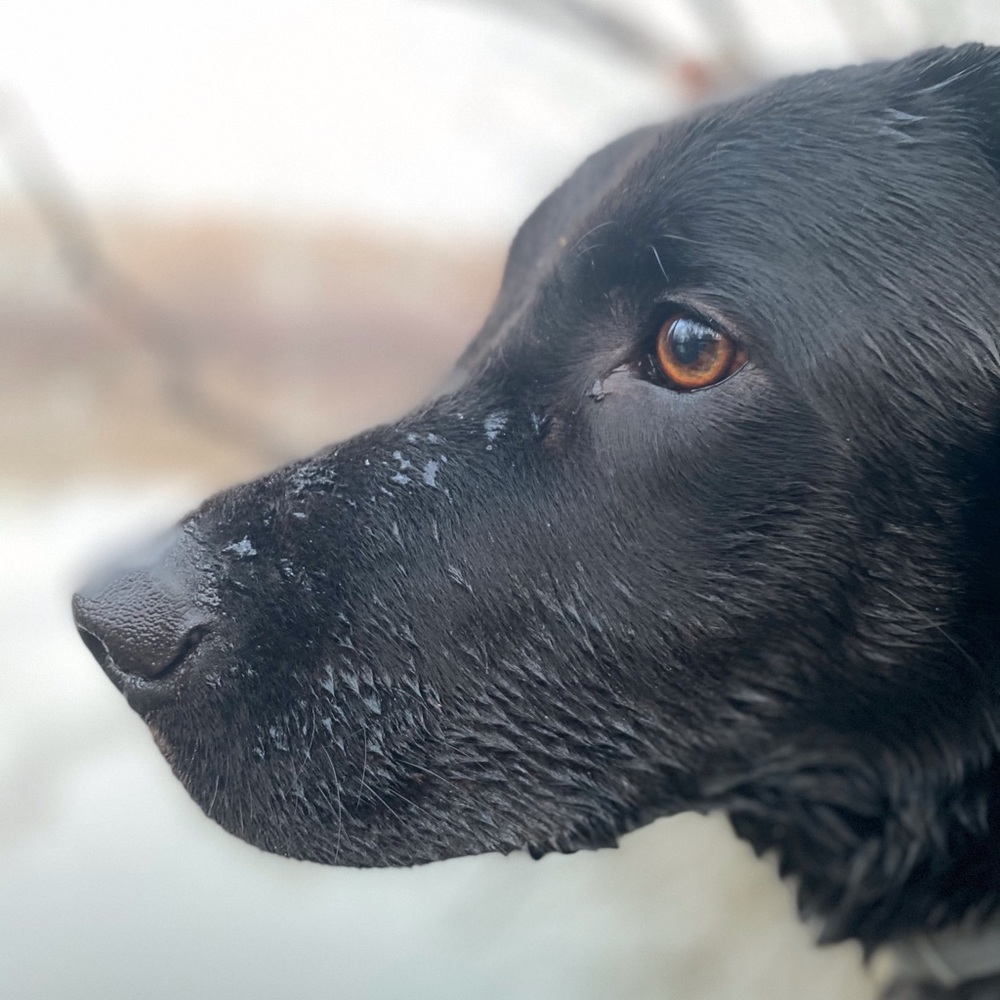 Meet your Posher, Stewart